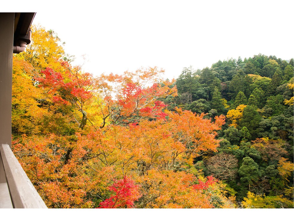 9/23-11/30【秋の京都高雄】特選和牛しゃぶしゃぶ