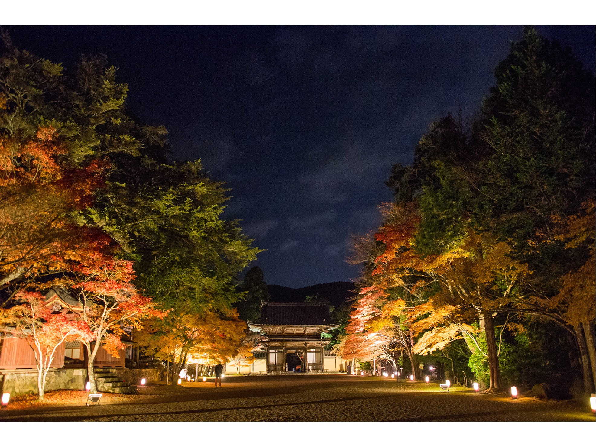 秋の神護寺　夜間拝観