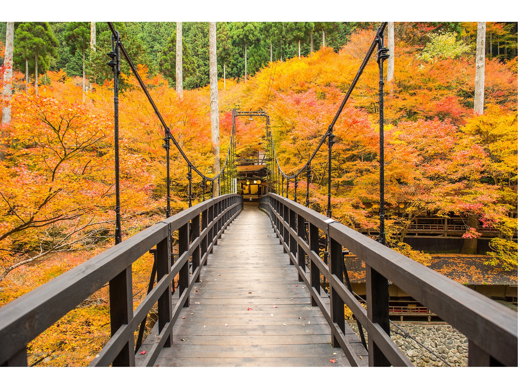 秋のもみぢ橋