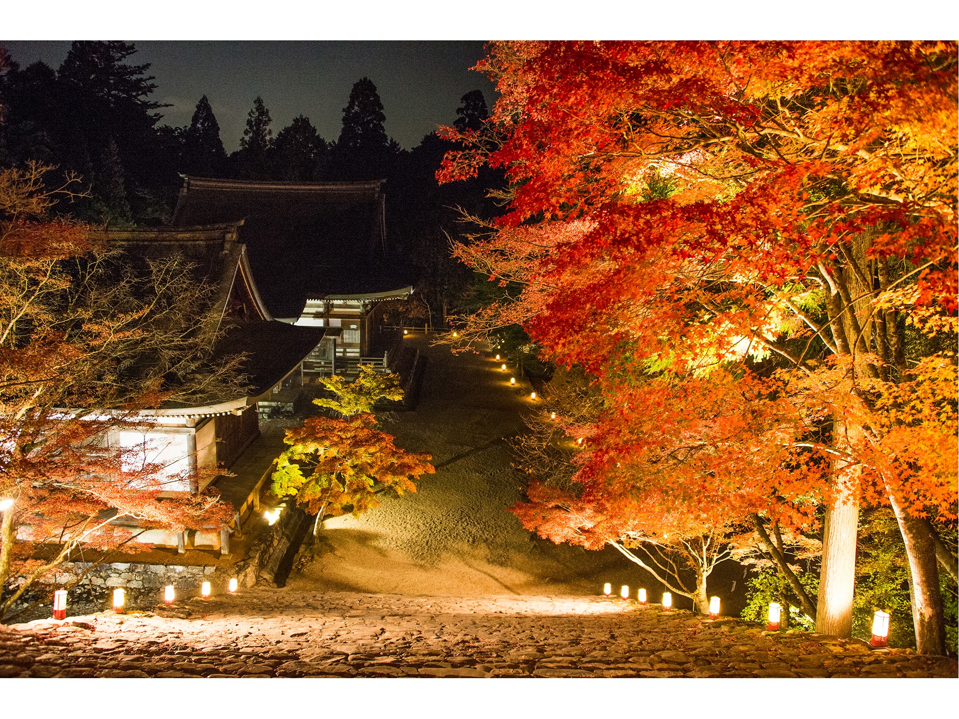 秋の神護寺　夜間拝観