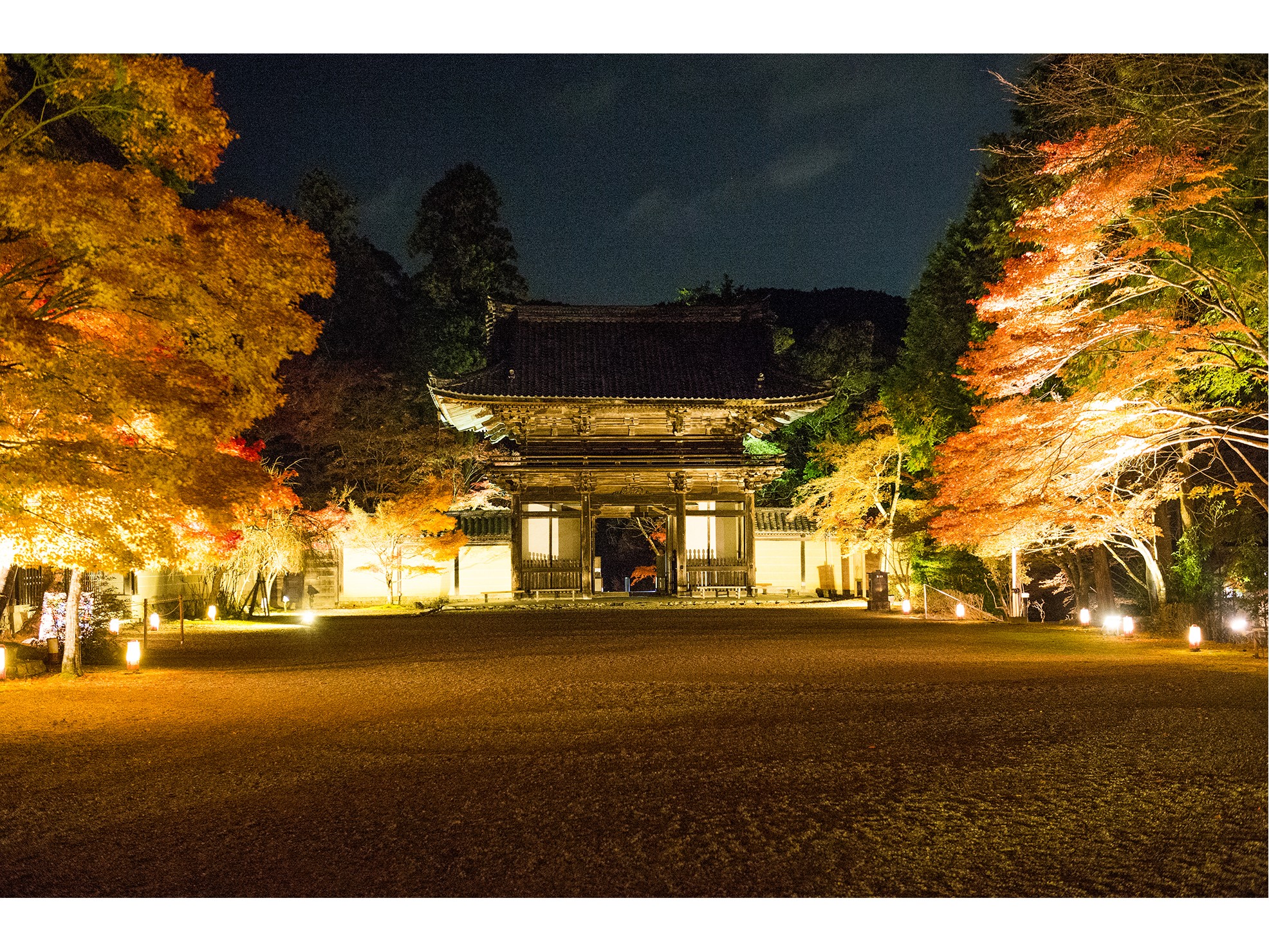秋の神護寺　夜間拝観