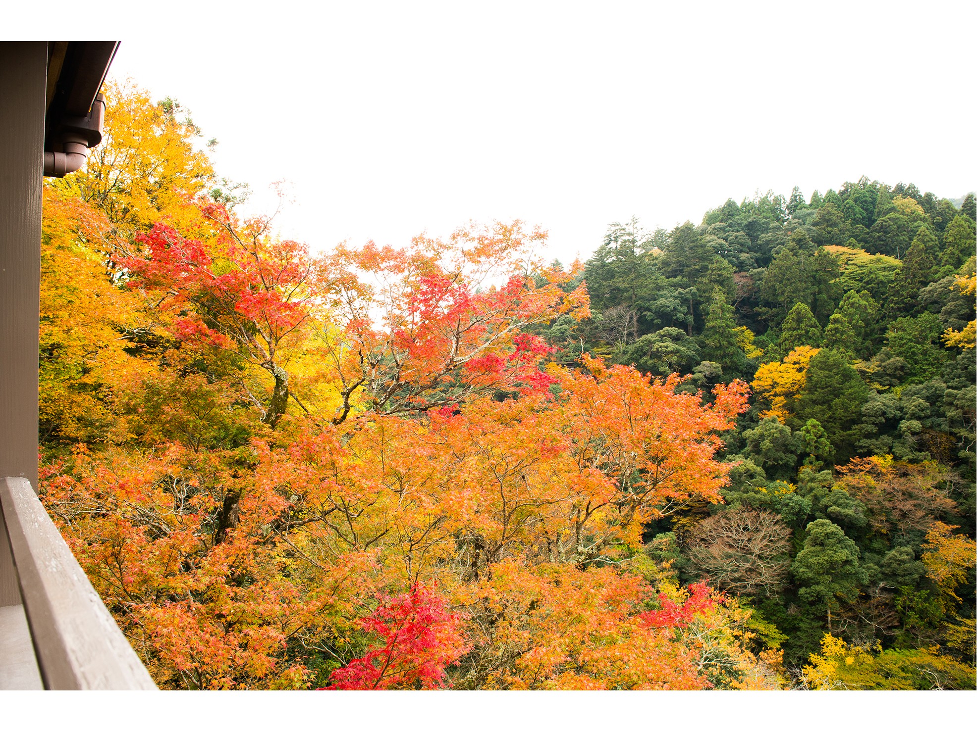 秋の風景・本館からの眺め