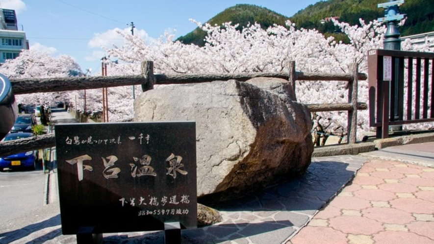 下呂温泉街の春は桜と温泉がベストマッチ！