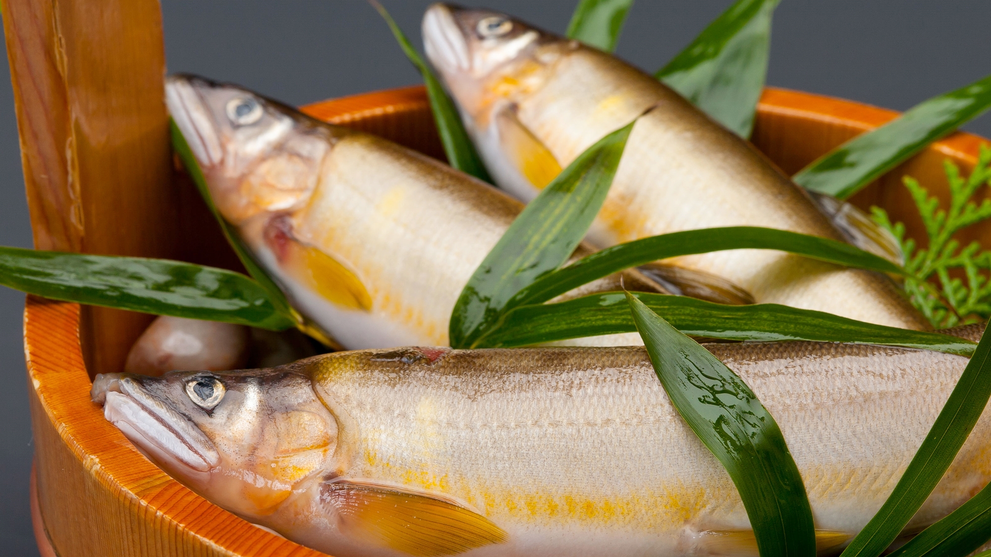 *【お料理】旬の時期は鮎が美味しいですよ。