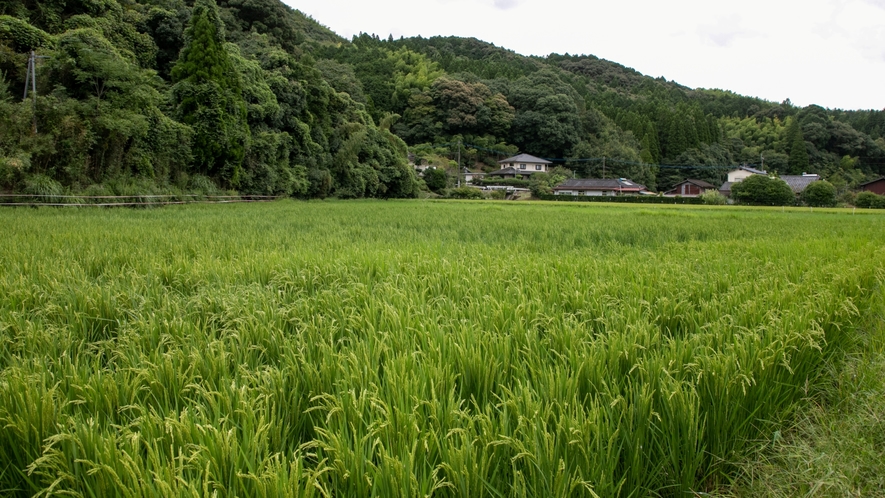 日本の原風景が残る熊本県山江村。穏やか時間が流れます。