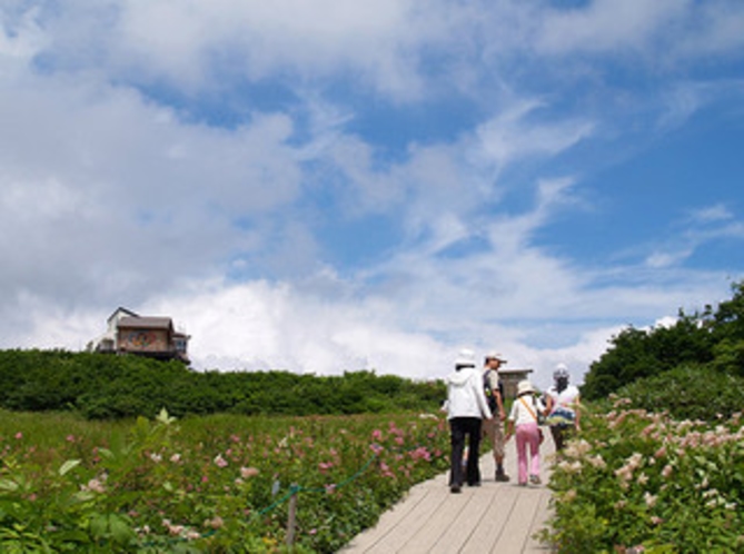 夏の黒菱平木道