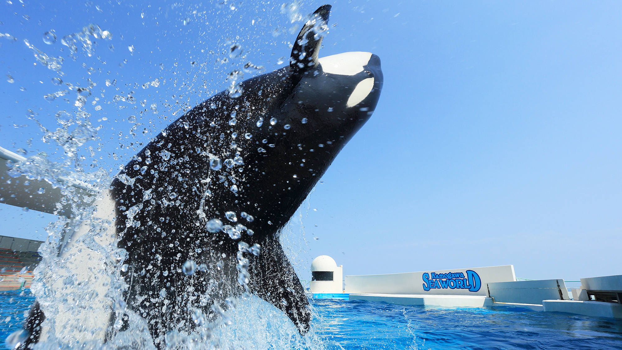 ◆鴨川シーワールド