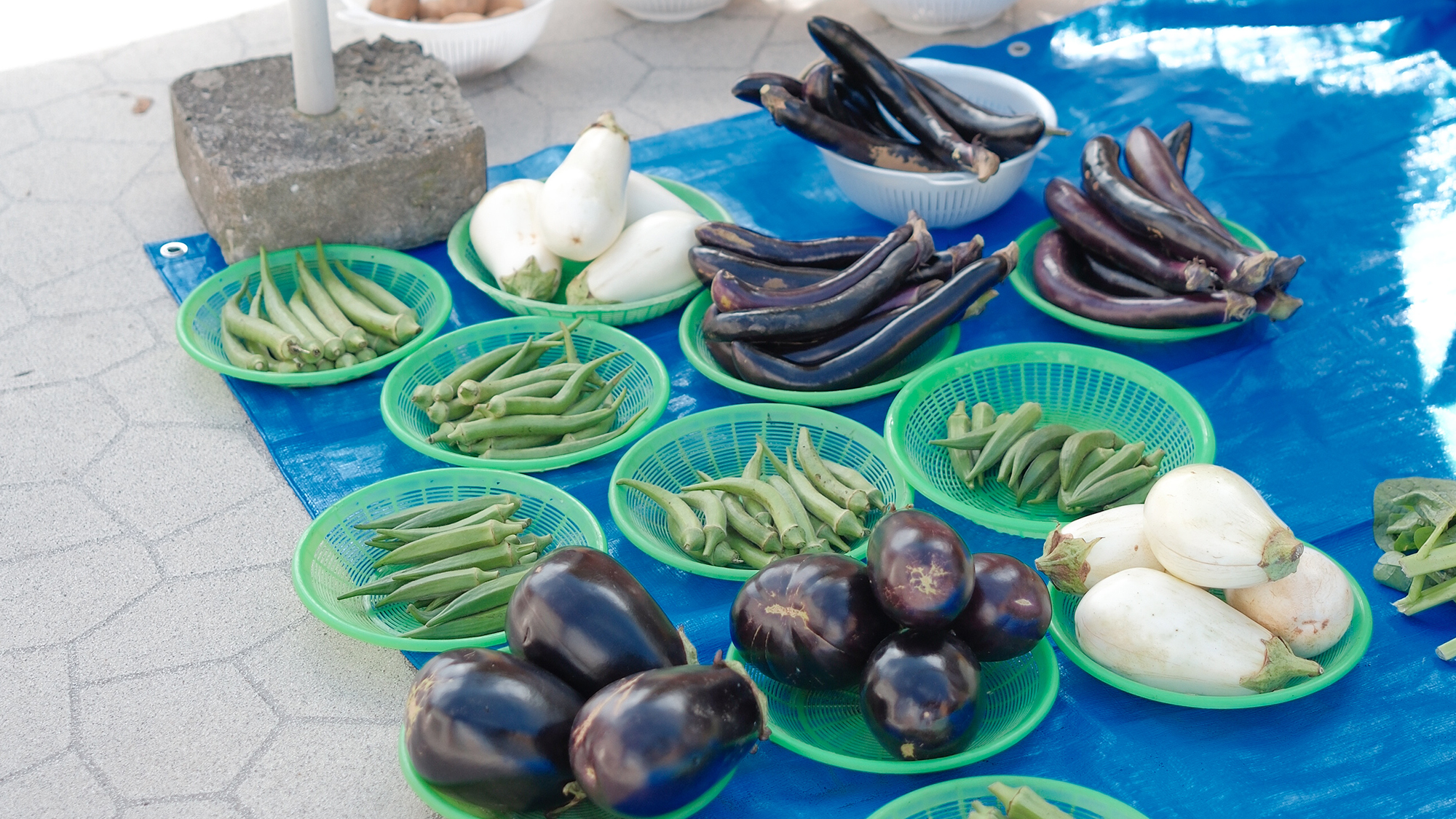 ◆【勝浦の朝市】車で4分