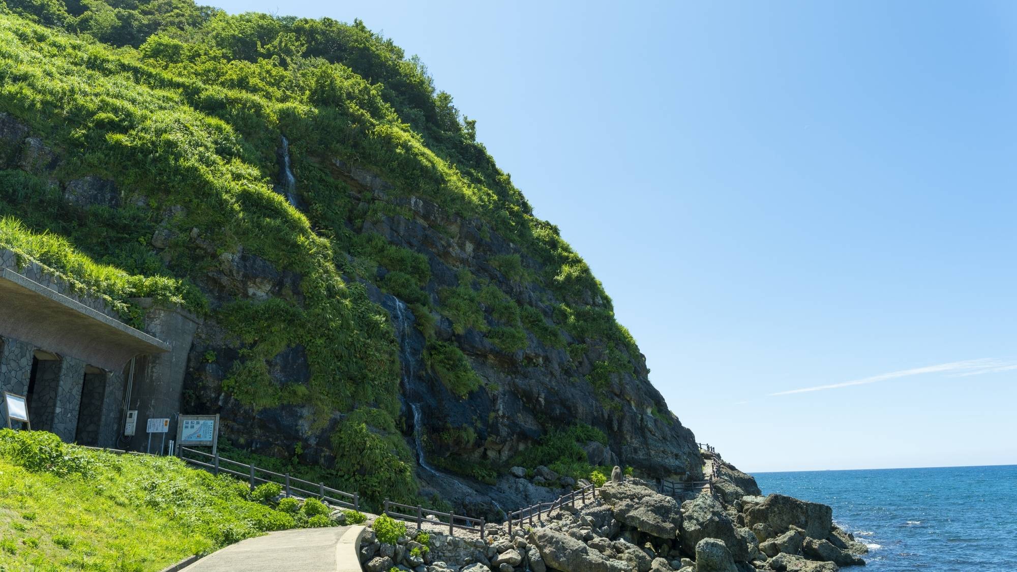 垂水の滝は山から直接海へと水が流れ込む珍しい滝。