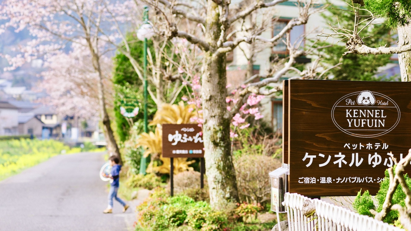 【ECO連泊でお得にSTAY☆】自慢の露天風呂を楽しむ☆客室清掃なしの素泊まりプラン＜ペット不可＞