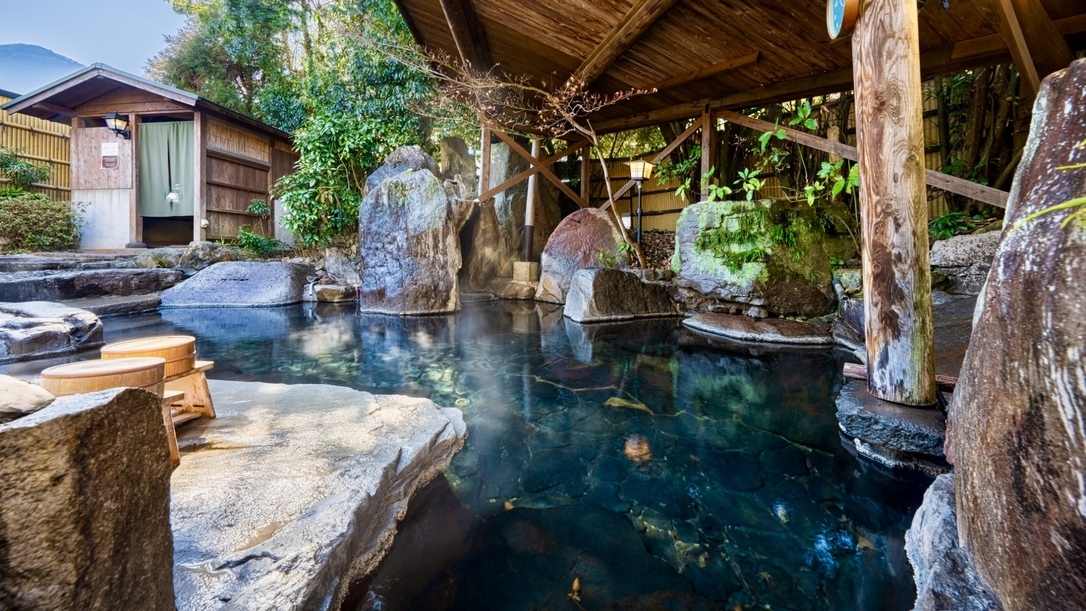 ◎フェリーで湯布院旅行をお考えの方へ【宇和島運輸フェリー】大分⇔愛媛 タイアッププラン＜ペット不可＞