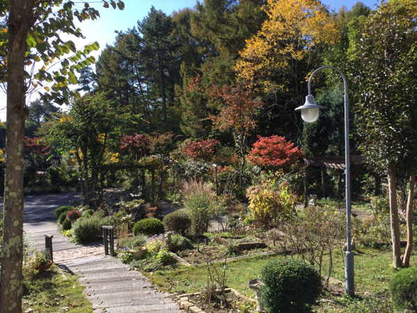 10月　紅葉し始めました。