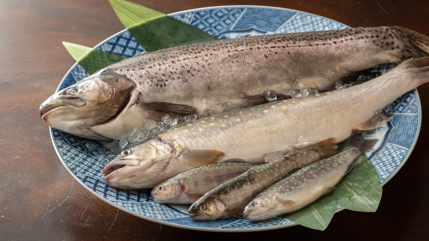 信州の新鮮な渓流魚を使用しております。