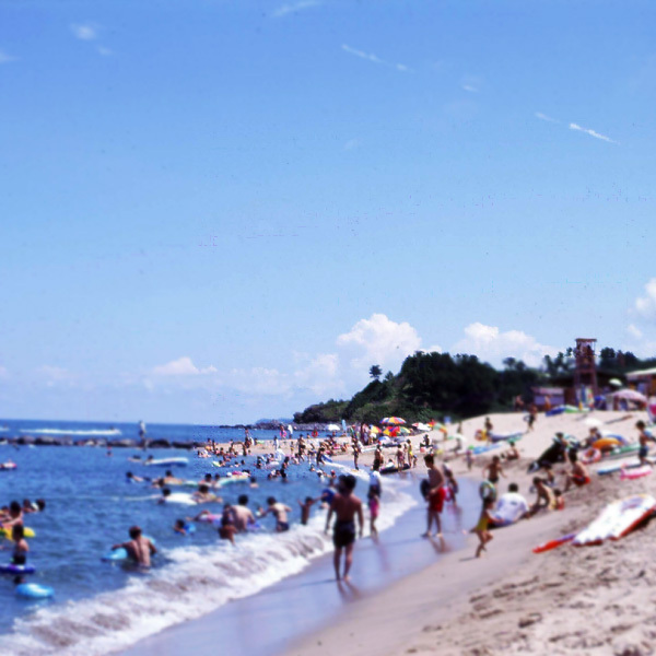 Hawaii beach