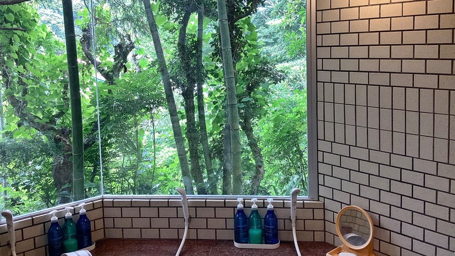 *【大浴場】浴室／自然豊かな裏山の木々が、窓の外を緑に染め上げます。