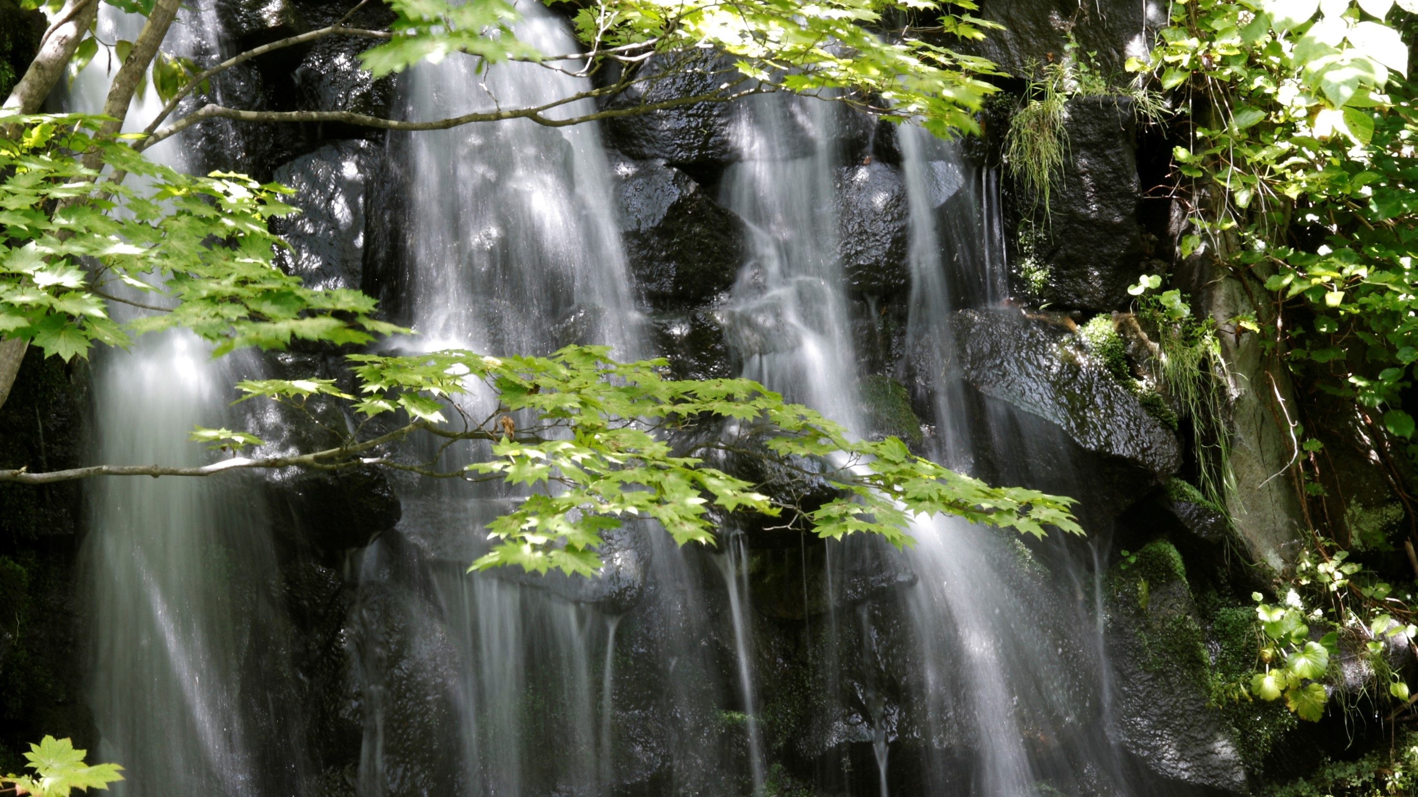 ◆庭園露天風呂　登別温泉唯一の滝見露天（一例）