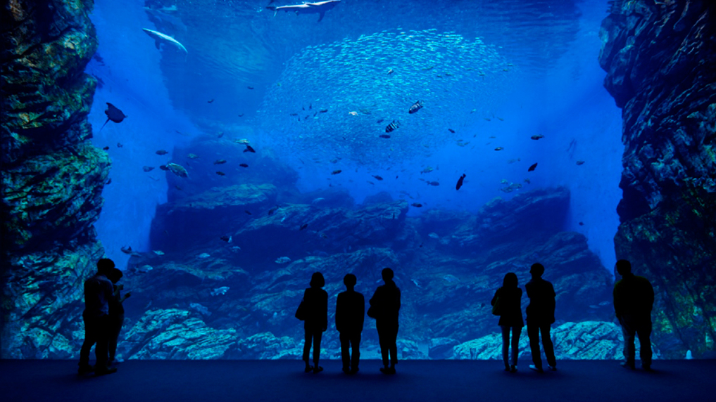 仙台で遊ぼう！【仙台うみの杜水族館チケット引換券付】【朝食バイキング付】プラン