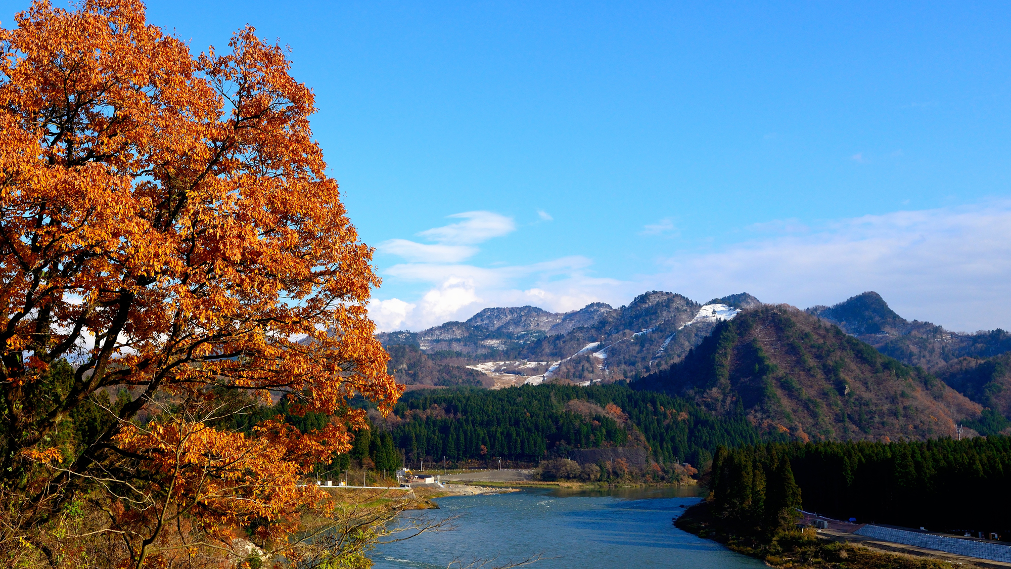 **阿賀野川の紅葉(イメージ)/自然豊かな阿賀野川では秋には紅葉も楽しめます。