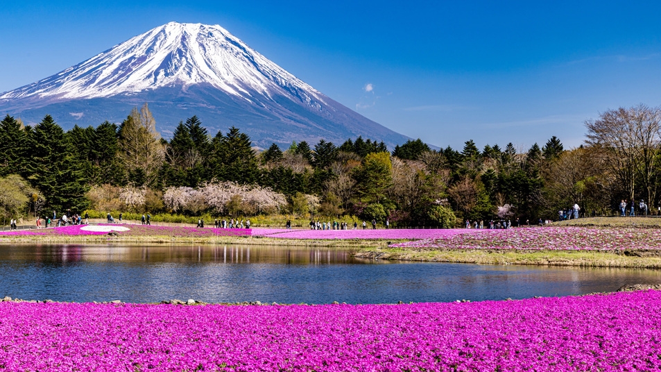 新緑の河口湖で ゆっくり過ごす春の旅！素泊まり