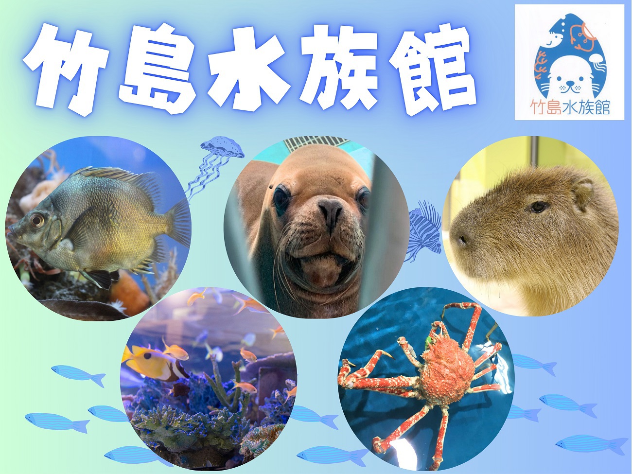  車で約8分！竹島水族館チケット付◆人気バイキング