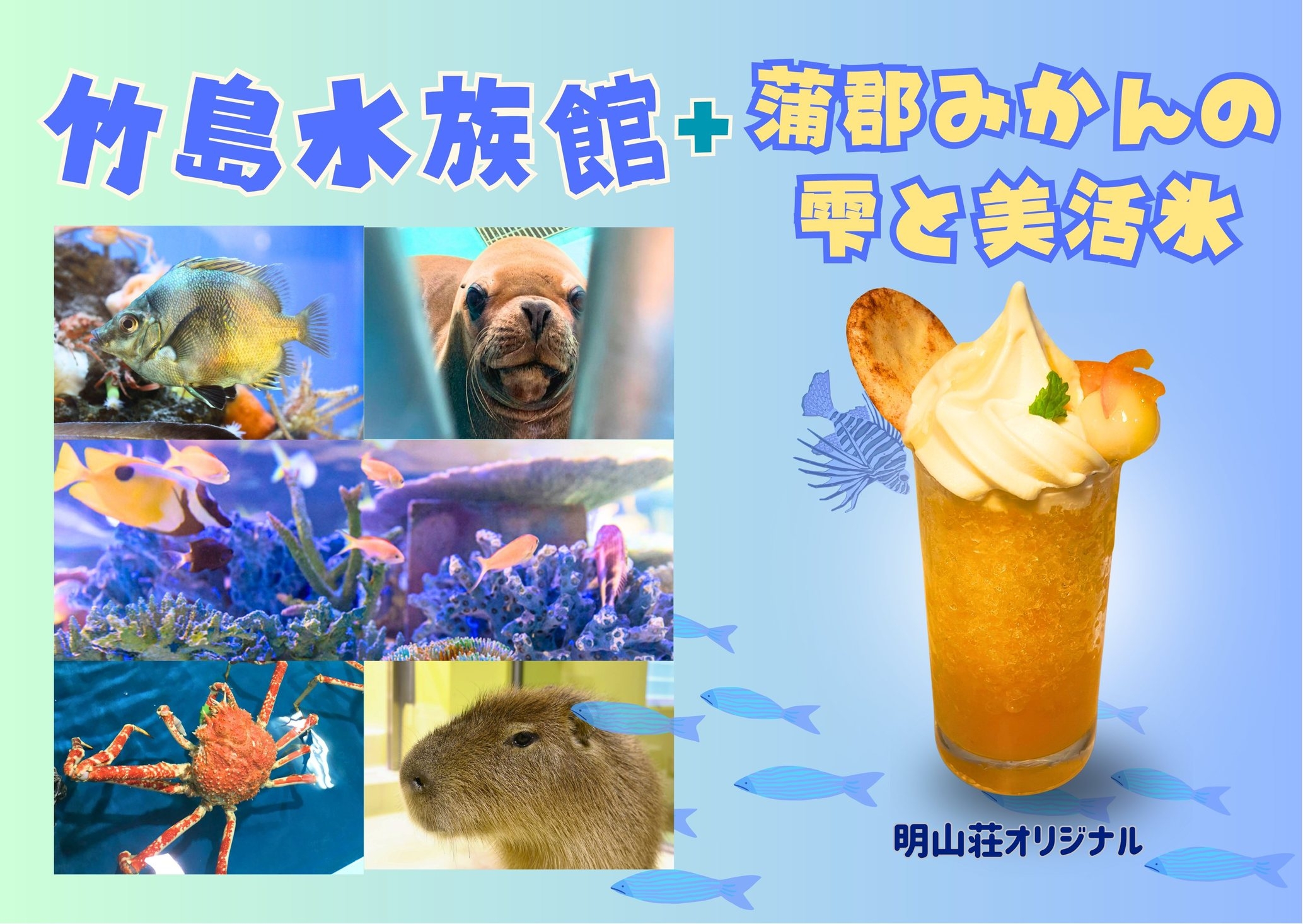 【夏限定】がま氷＆竹島水族館入館券付き♪夏のご当地満喫プラン