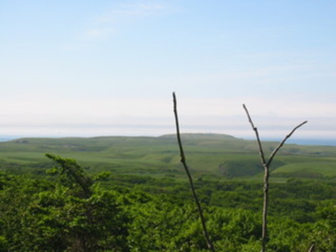 山から見た岬