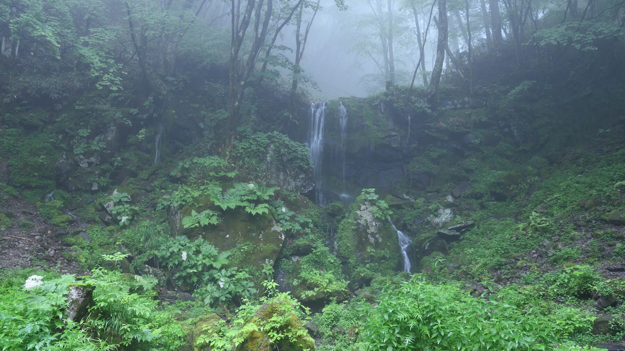 たまだれの滝／滝へ続く遊歩道では木漏れ日の中を歩いてマイナスイオンいっぱいに癒されます。