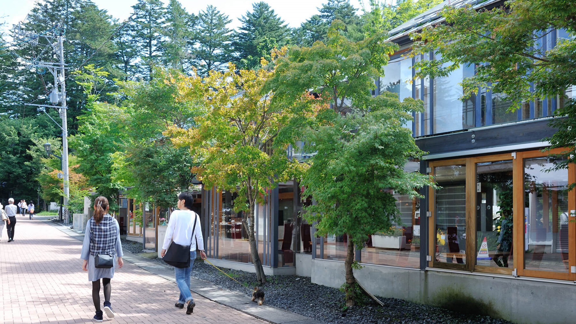 軽井沢周辺／有名な「旧軽井沢銀座」までは、「花いち」から車で約50分の距離です。