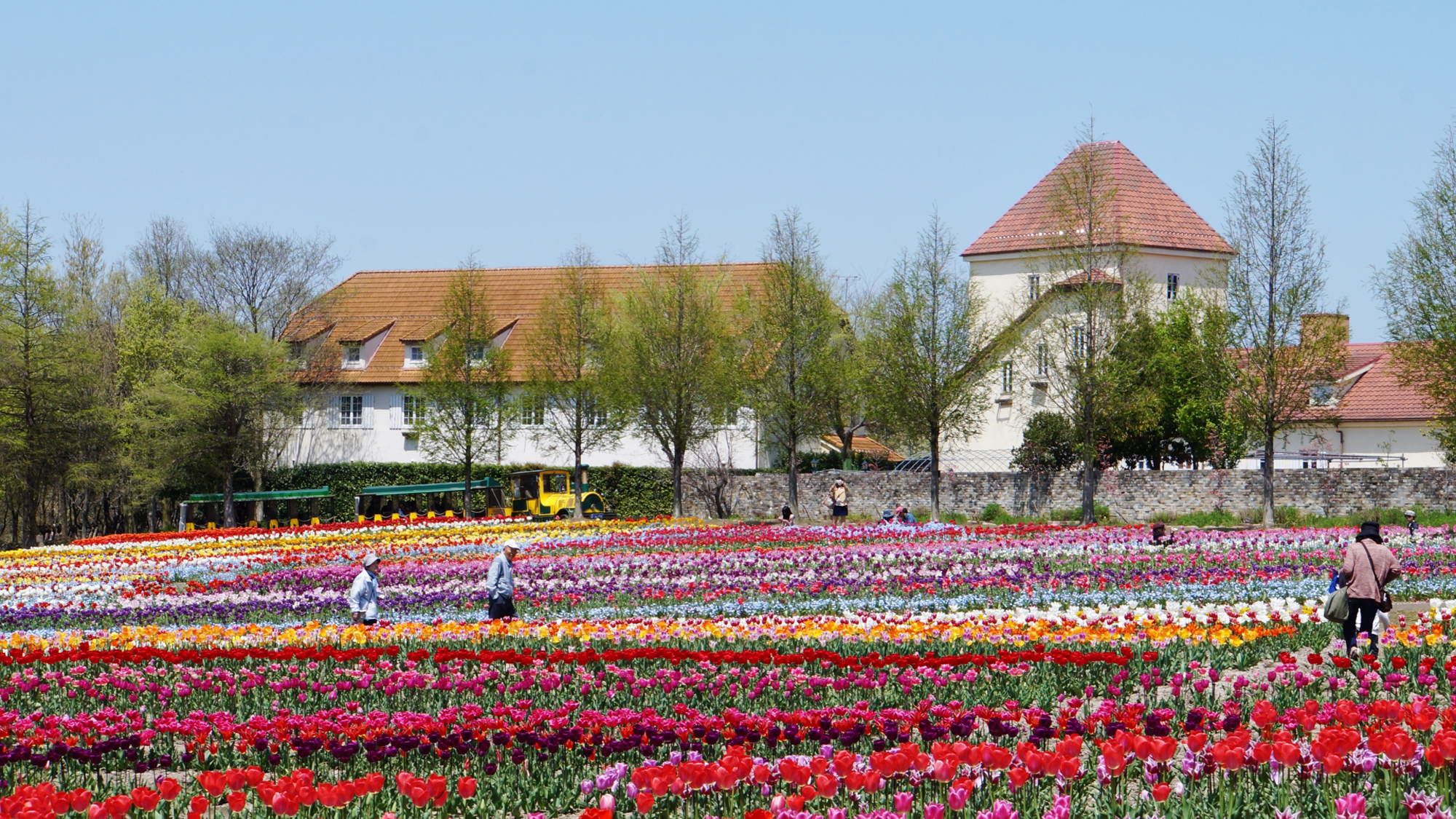 【周辺観光】滋賀農業公園　ブルーメの丘　日野　車で41分（32.5ｋｍ）