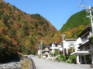 紅葉の梅ヶ島温泉