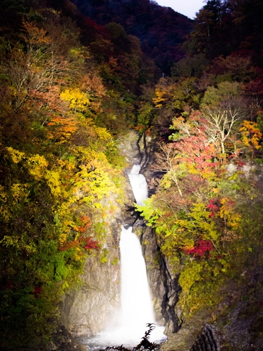 【秋】赤水の滝ライトアップ　2016年11月