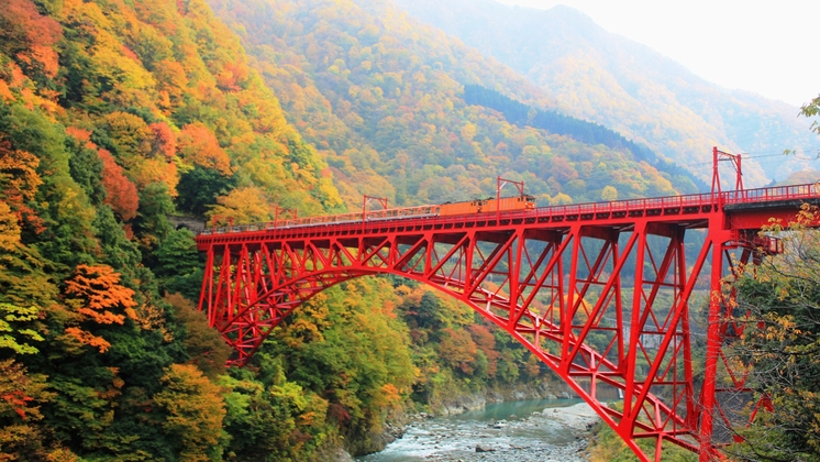 季節限定！富山湾の女王　“紅ずわい蟹”　まるごと一杯付・旬の富山を味わう贅沢プラン