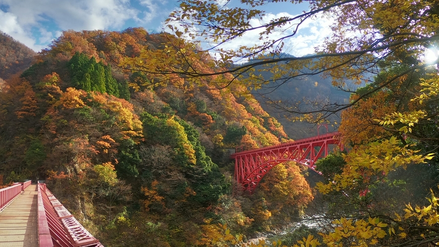 例年の見頃時期は10月下旬～11月中旬。黒部川が刻み込んだ日本一深いV字峡・黒部峡谷