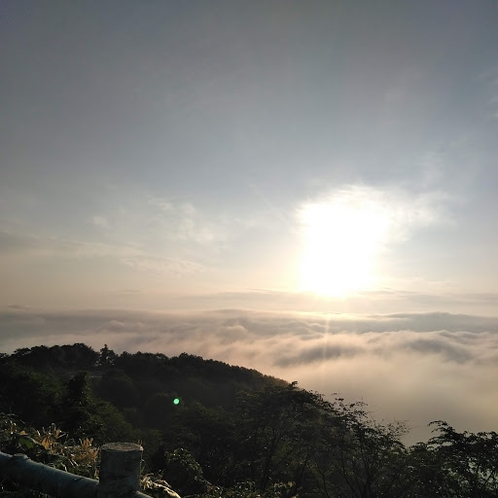 円山牧場展望台からの雲海