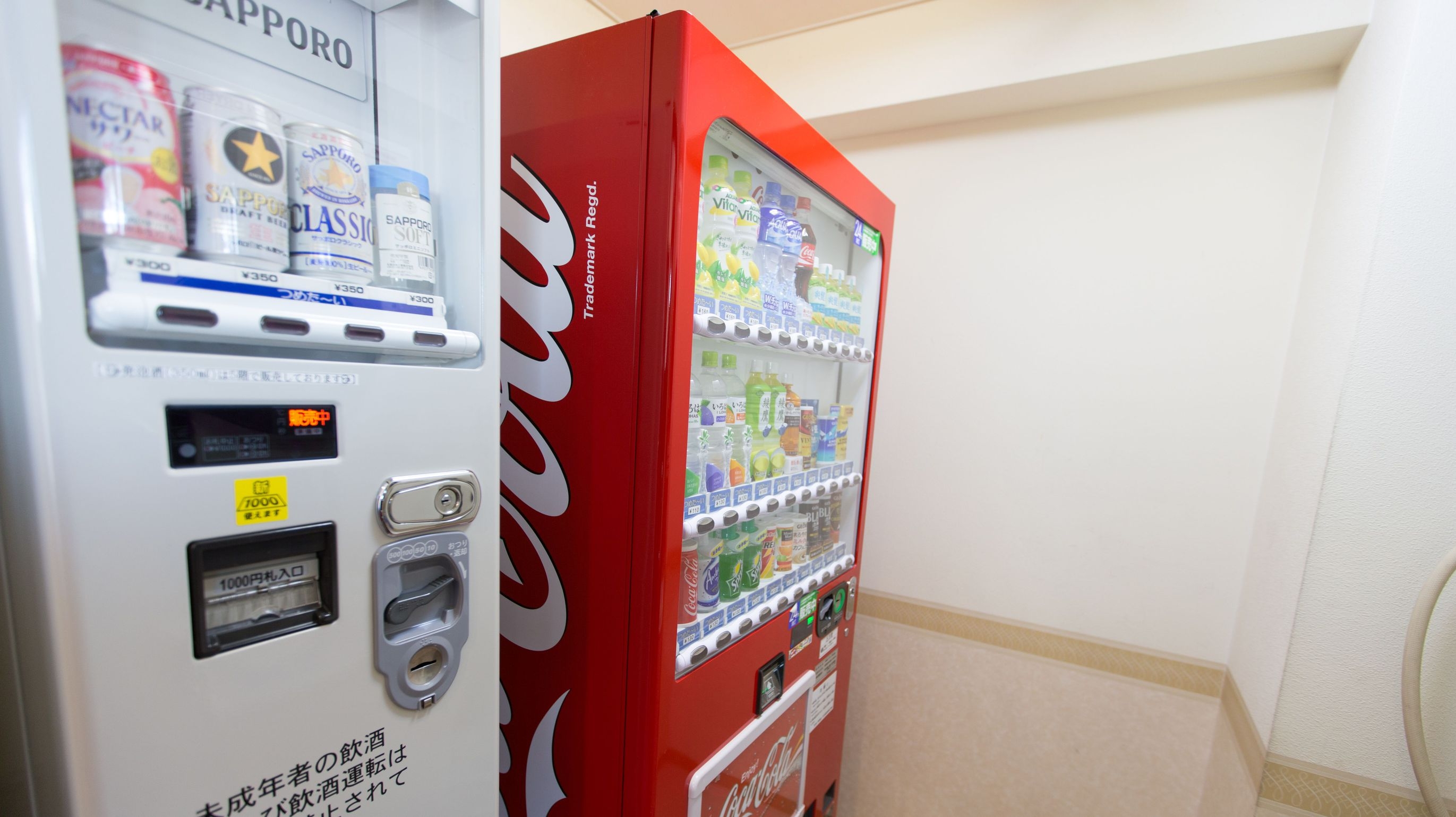 ◆【当日限定】最終チェックイン22時・町内中心部で好アクセス＜素泊り＞