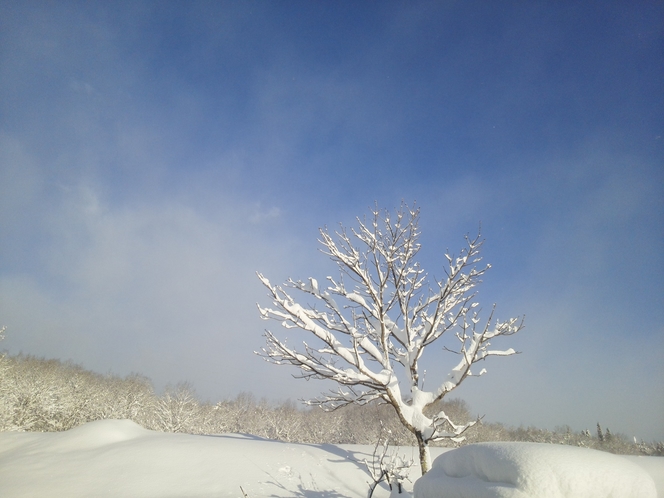 雪景色　青空