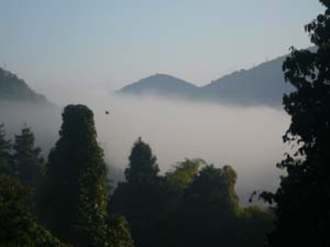 津和野の町を霧がつつむ