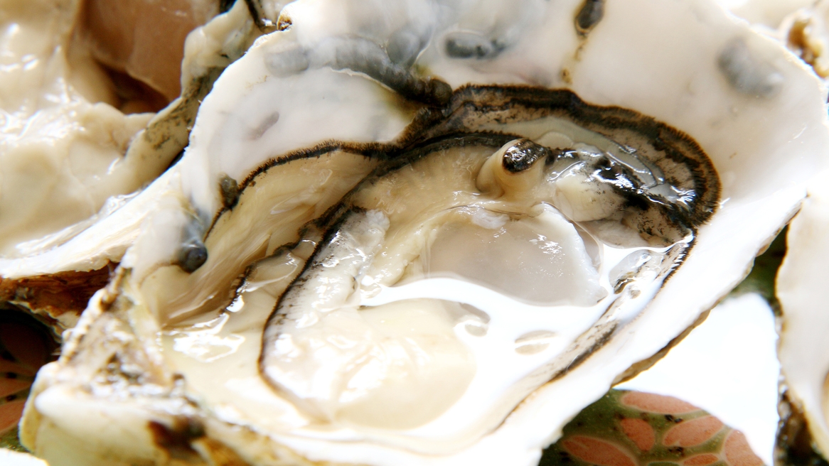 【冬季限定】この時期だけに味わえる自家養殖の牡蠣三昧☆無料サービスあり♪[1泊2食付]