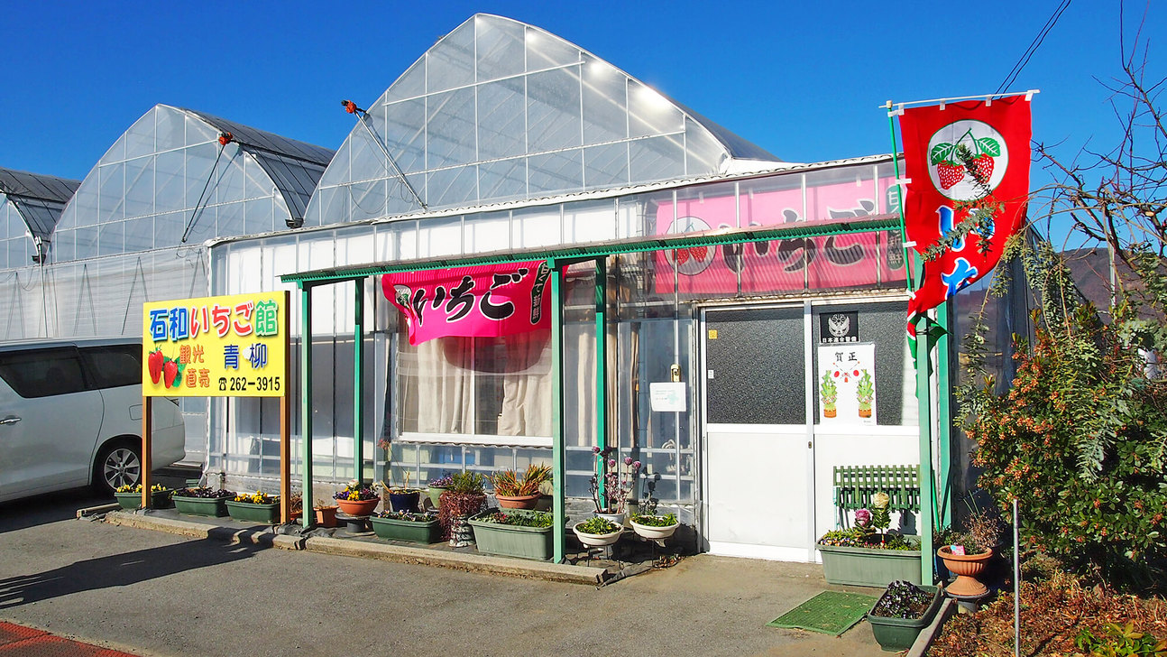 【いちご狩り】１泊２食★提携農園で楽しむ大粒いちご食べ放題プラン！宿から無料送迎可