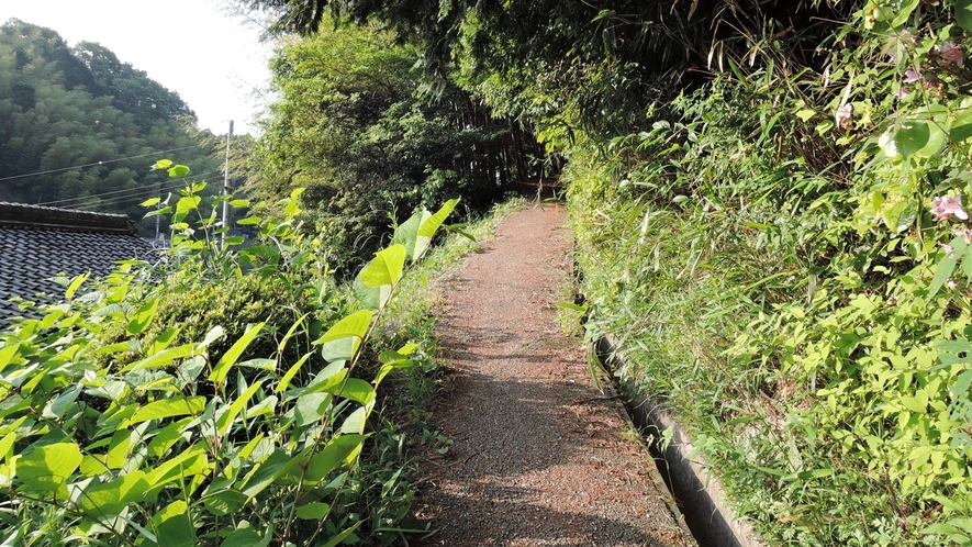 *東海自然歩道入り口