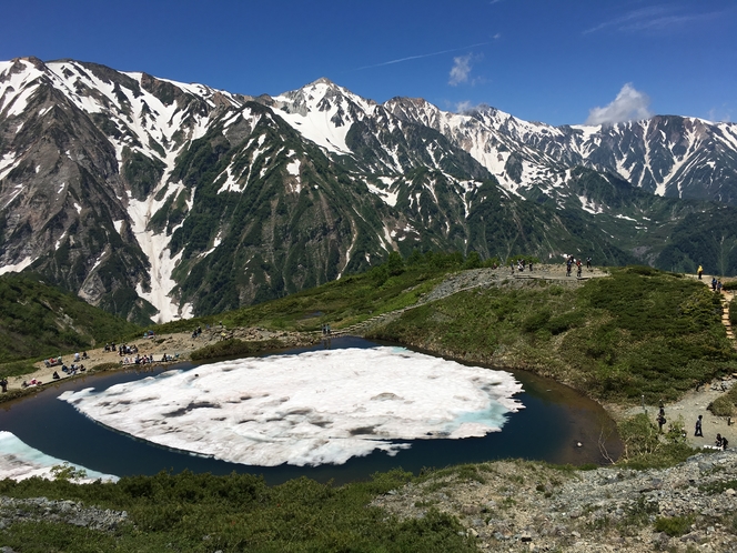 八方池（６月）