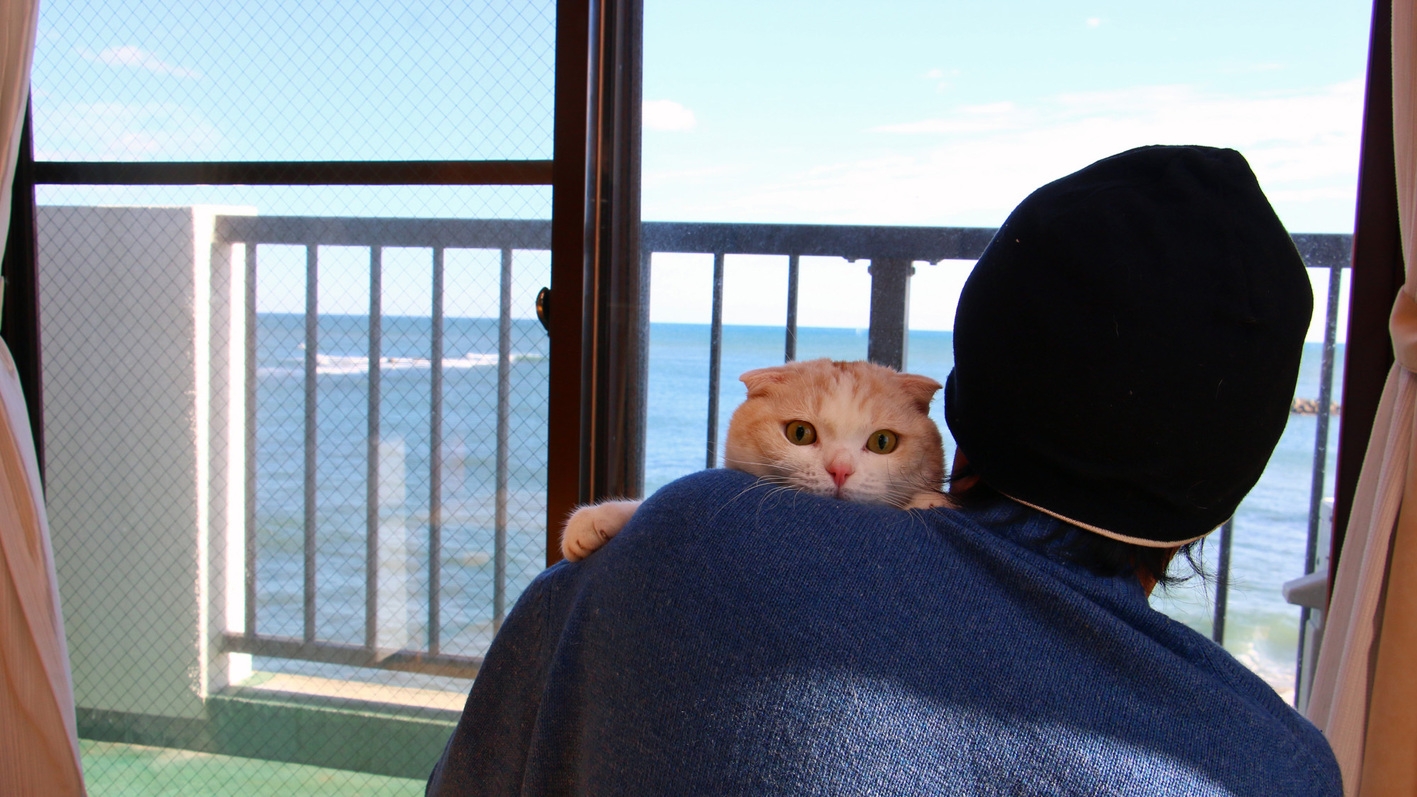 【一人旅◆素泊まり】わんちゃん・猫ちゃんと一緒♪時間を気にせず自由旅◆チェックイン21：00までOK
