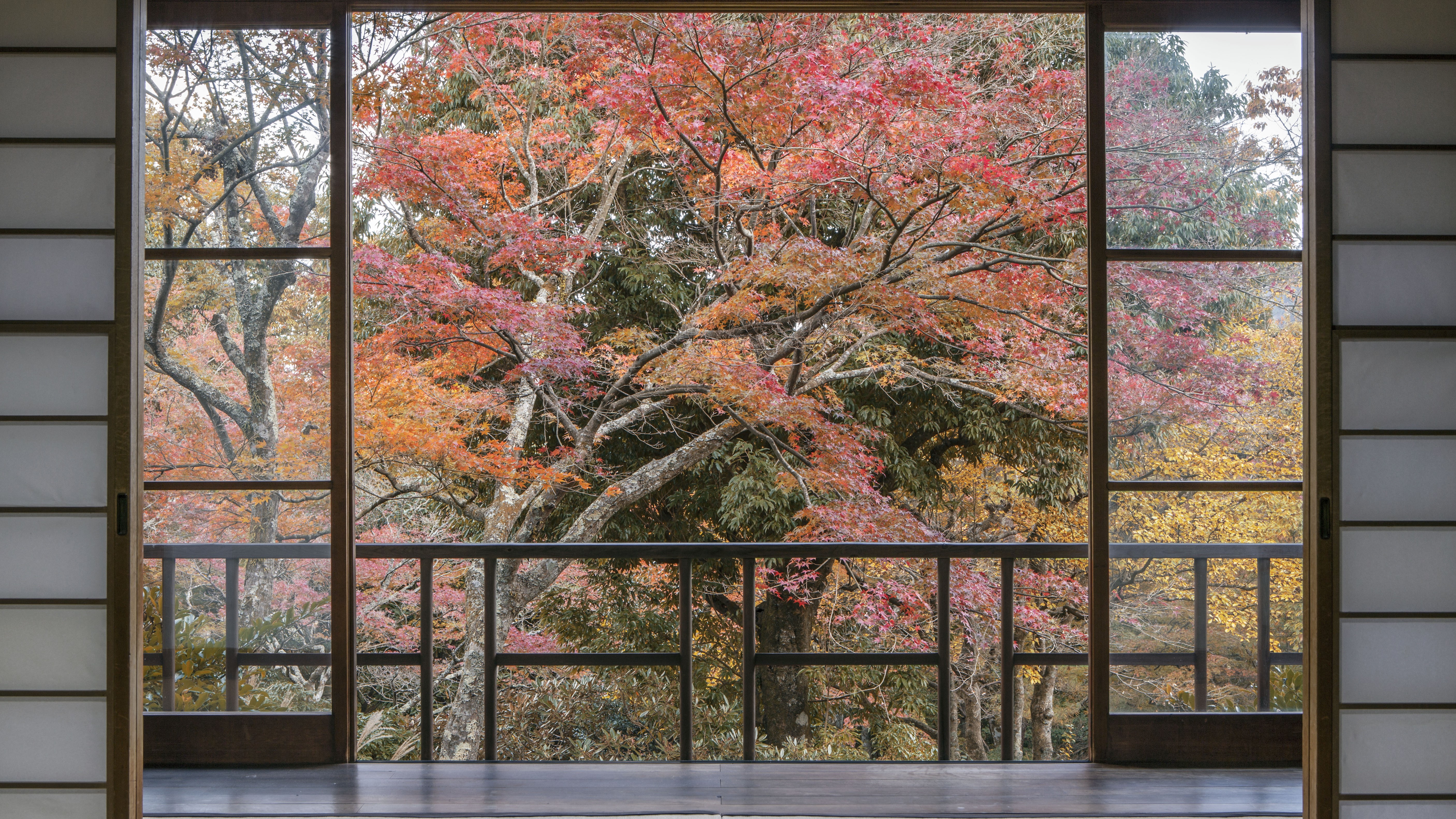 *お風呂なし/本館「木立」【2～4名】