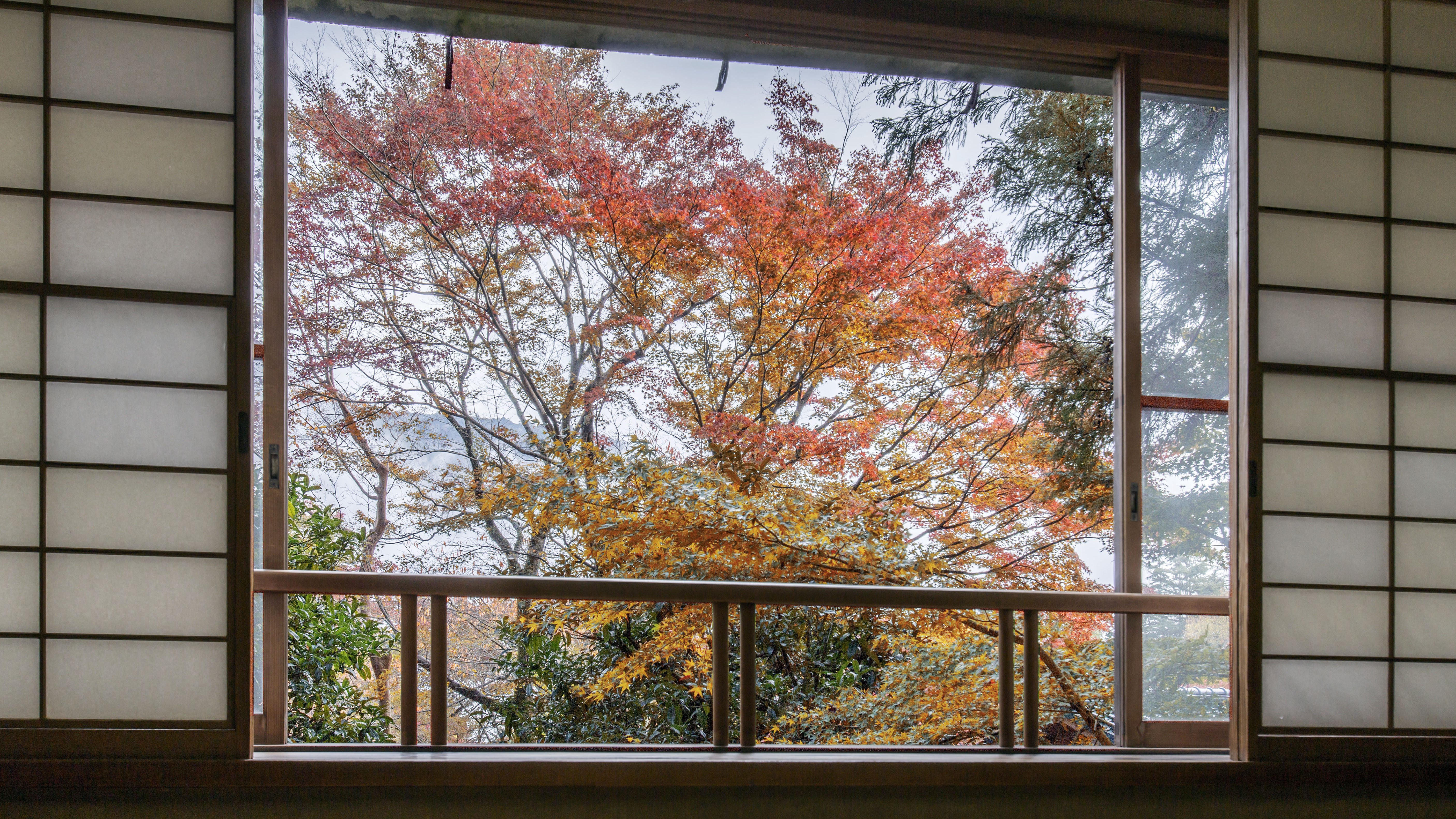 *温泉付/別荘のような寛ぎの「離れ・明星」【2～3名】