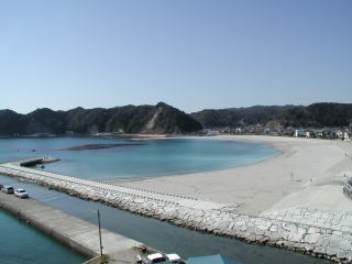 屋上からの興津海岸