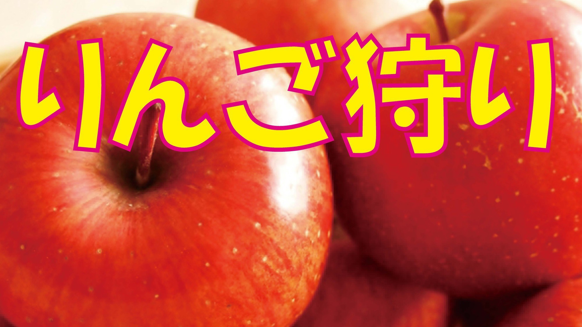 信州の秋の味覚♪松井農園でりんご狩り付きプラン♪