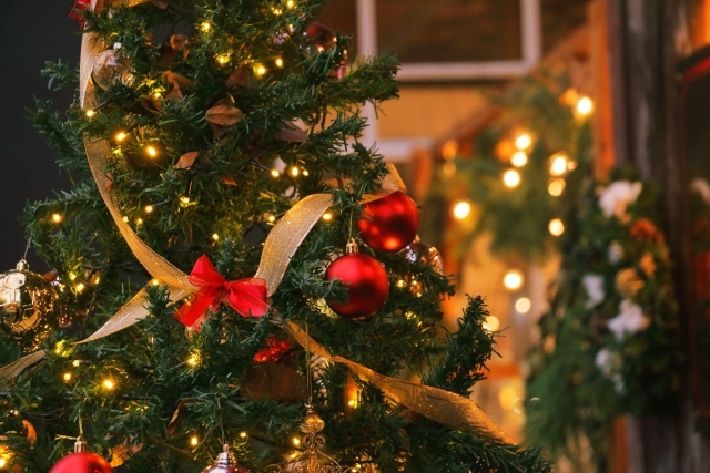 【クリスマスディナープラン】〜大切なひとときを大切なひとと〜（2食付）