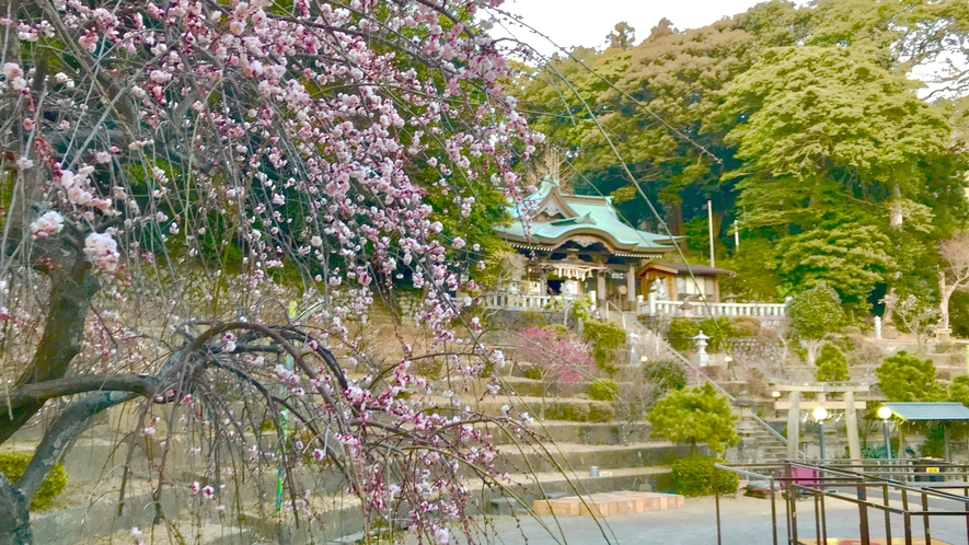 【周辺観光】大仁神社