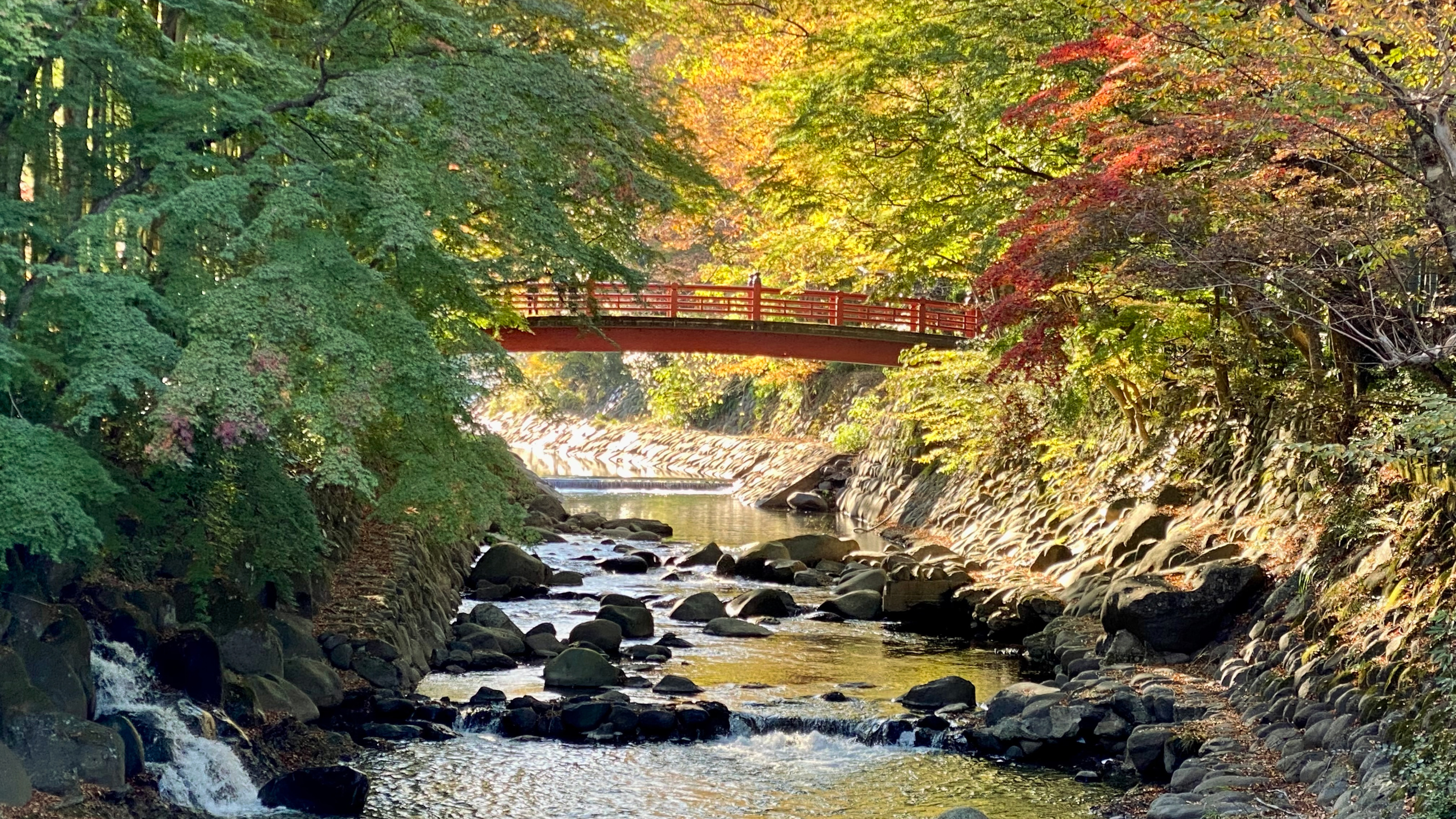 修善寺温泉街　紅葉