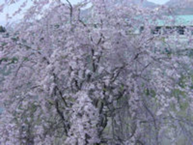 春の風景